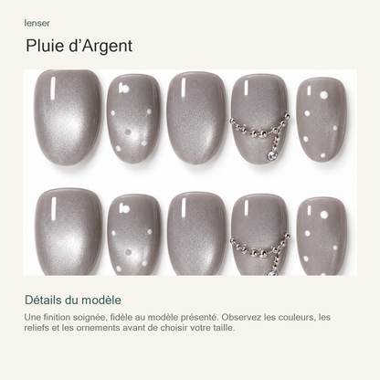 Pluie d’Argent — présentation des détails
